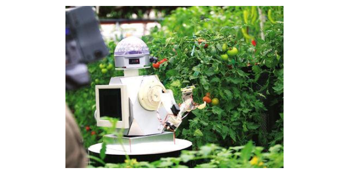 北京草莓智能采摘机器人售价 服务至