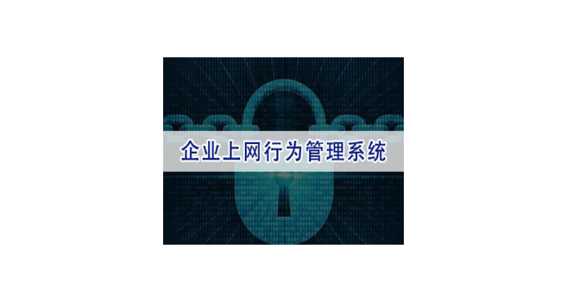 广州好用的上网行为管控作用 上海迅软信息供应