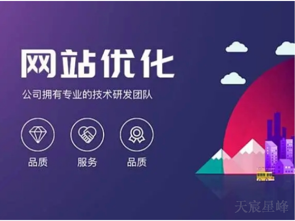 西安公司网站优化怎么做 值得信赖 陕西天宸星峰信息科技供应