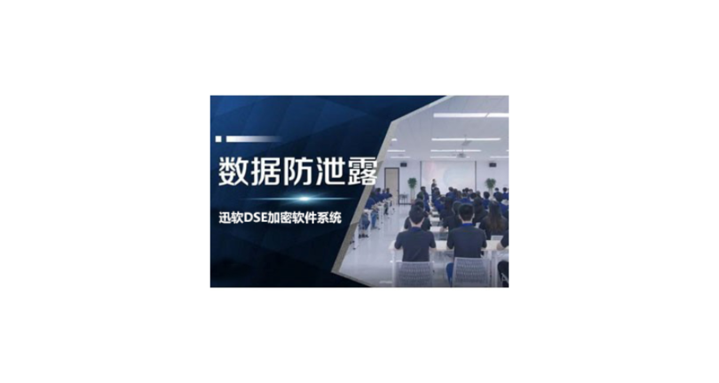 广西安全的数据加密哪家便宜 上海迅软信息供应